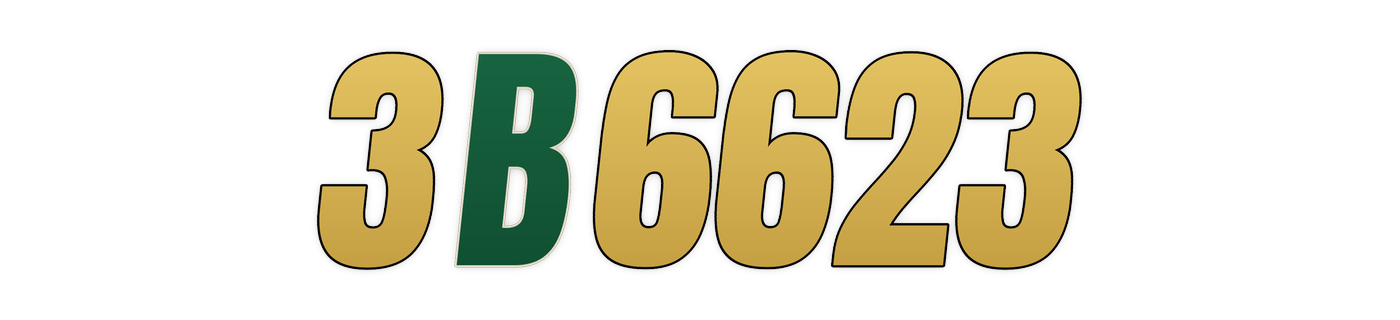 3b6623